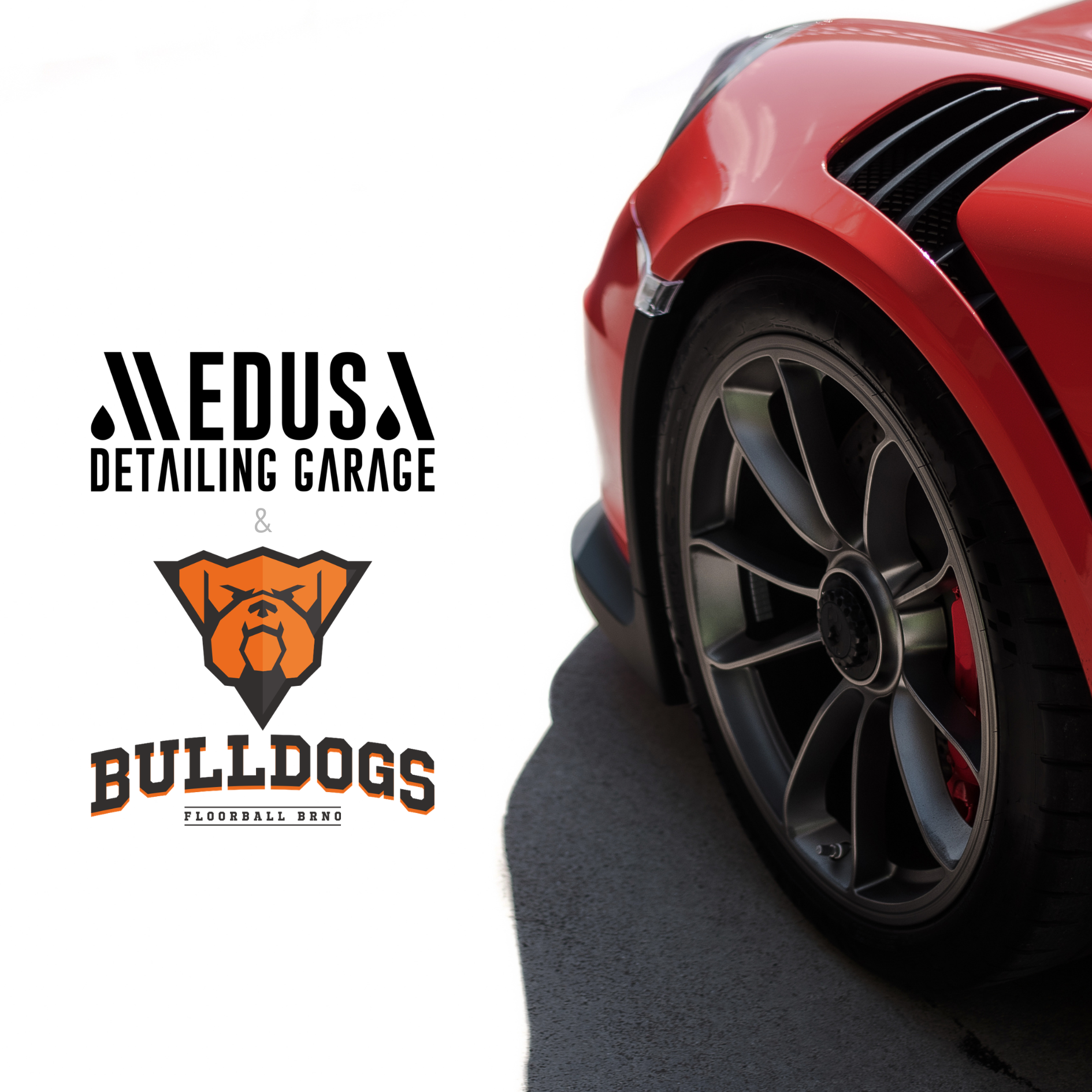 Medusa Detailing — Branding